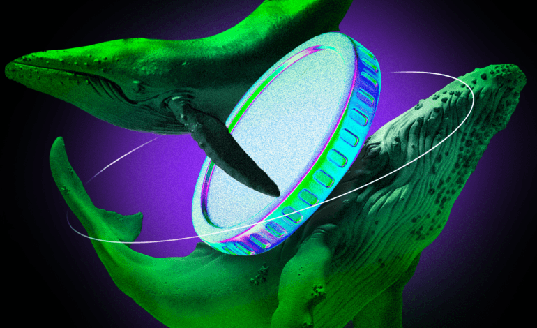 Les cryptos préférées des baleines cette semaine