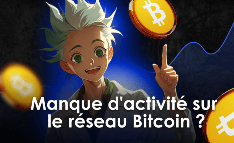Le réseau Bitcoin manque-t-il d'activité ? Analyse du BTC avec Prof. Chaîne