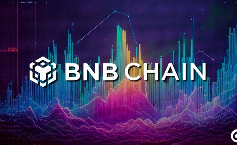 Pic d'actité sur la Chaîne Bnb: Les Développeurs optimisents les transactions liées aux mecoins