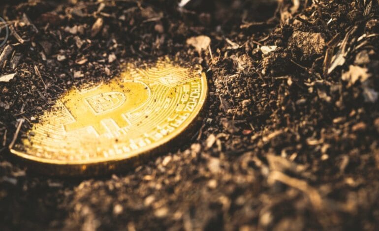 Des Bitcoins d'Un Valeur de 5 millions de dollars, Immobiles Depuis 15 Ans, se réveillent